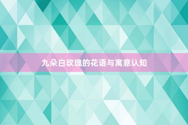 九朵白玫瑰的花语与寓意认知