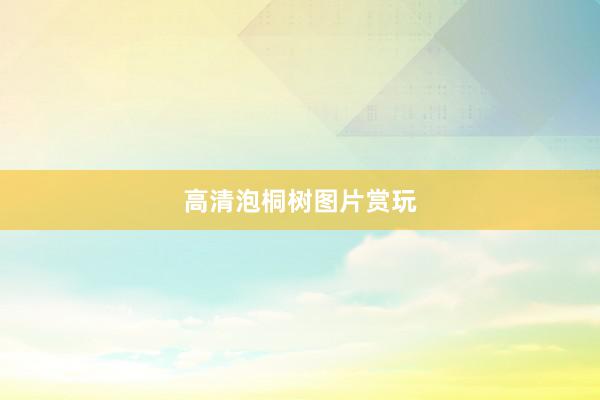高清泡桐树图片赏玩